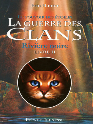 cover image of Rivière noire